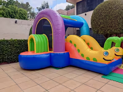Inflable mediano Gusanitos, el de mayor superficie de brinco