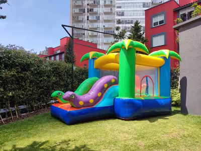 Alquiler del inflable Mini Jungla en jardín de CDMX