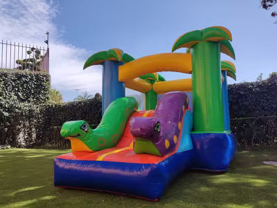 Inflable mediano Mini Jungla de 5 metros